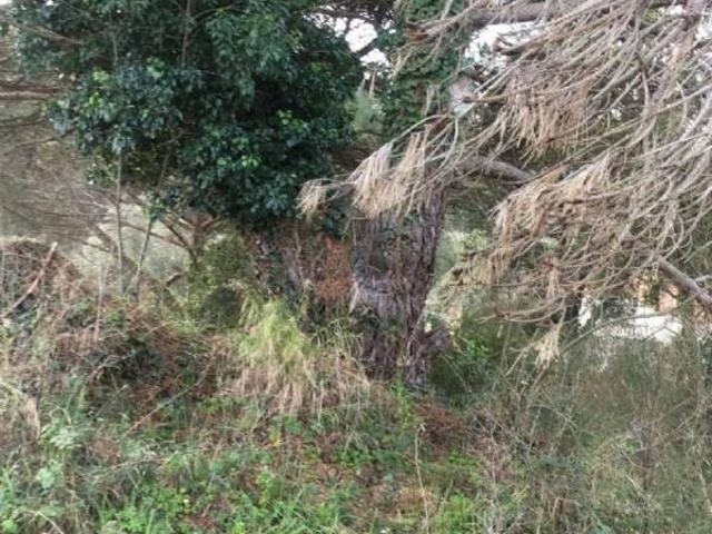 Terreno en venta en Vilardell, Vallès Oriental