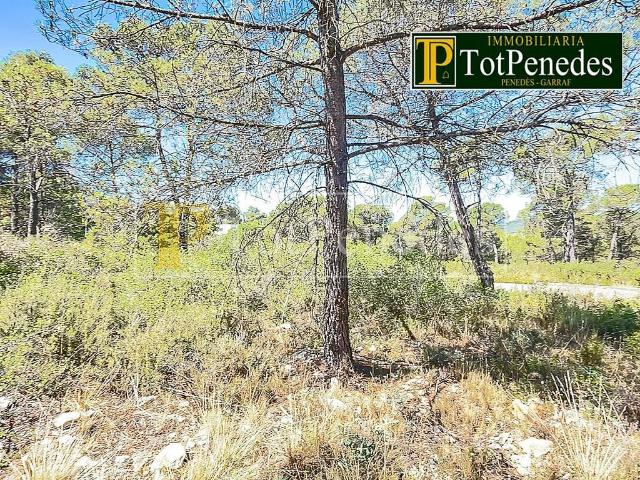 Terreno en venta en Can Paixano, Alt Penedès