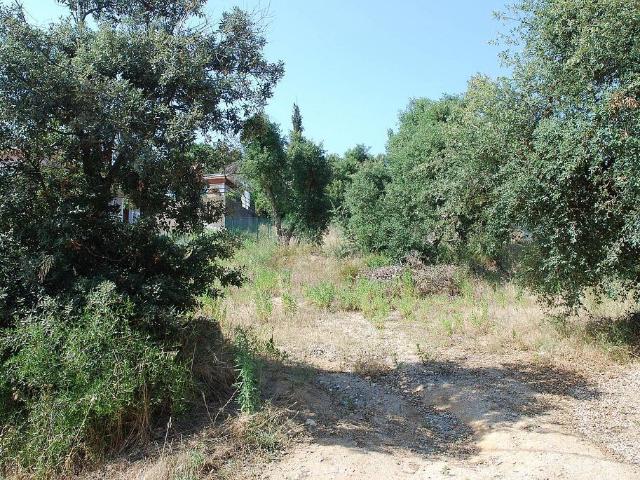 Terreno en venta en Calonge i Sant Antoni, Baix Empordà
