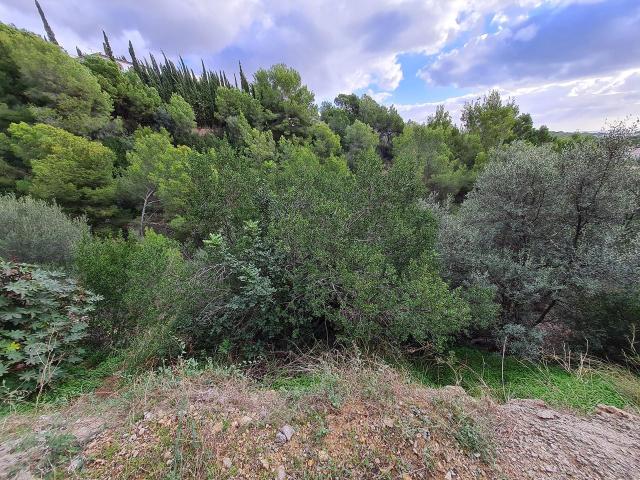 Terreno en venta en Calvià, Serra de Tramuntana