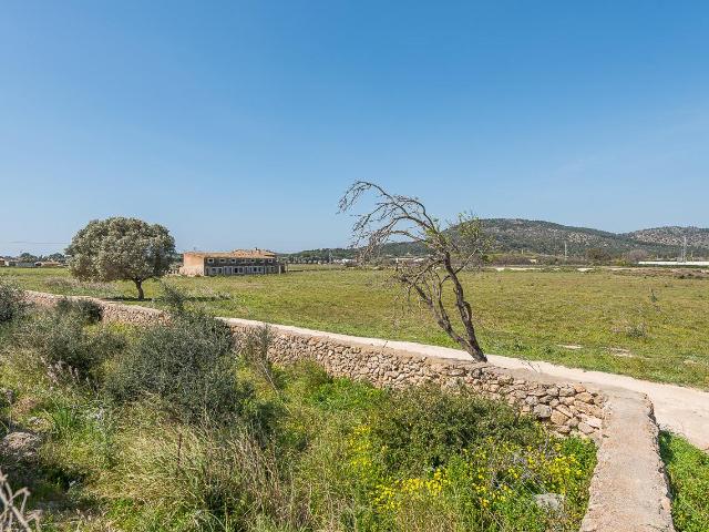 Terreno en venta en Calvià, Serra de Tramuntana