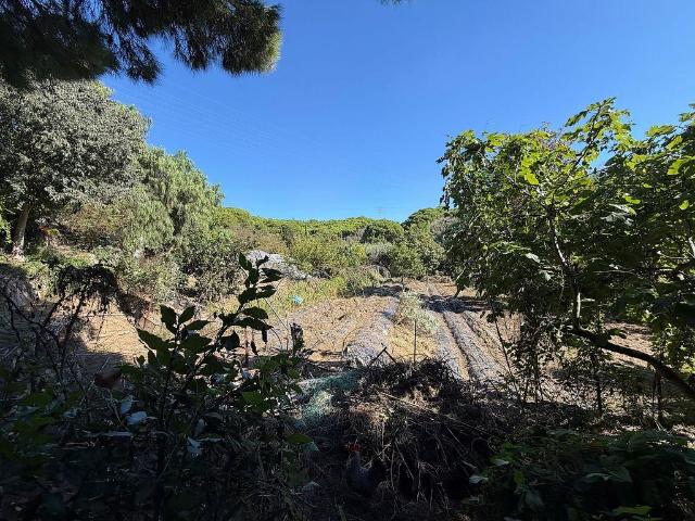 Terreno en venta en Canet de Mar, Barcelona
