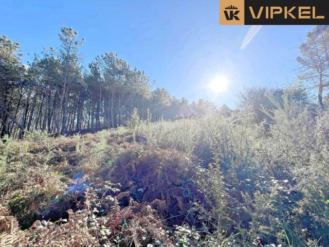 Terreno en venta en Bergantiños, Galicia