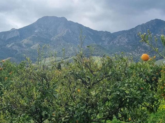 Terreno en venta en Carratraca, Málaga