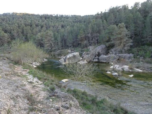 Terreno en venta en Caseres