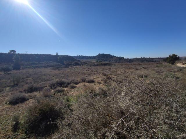 Terreno en venta en Bajo Aragón-Caspe / Baix Aragó-Casp, Aragón