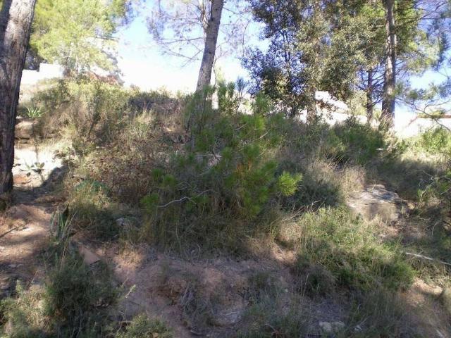 Terreno en venta en Bages, Catalunya