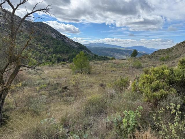 Terreno en venta en el Comtat, Valencia