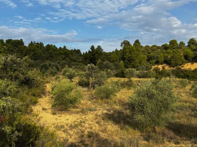Terreno en venta en Matarraña / Matarranya, Cretas