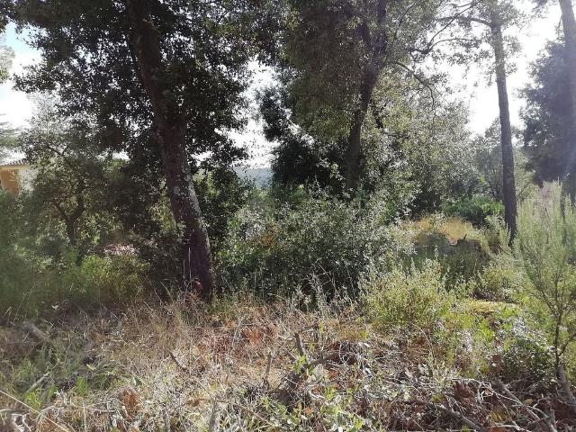 Terreno en venta en Dosrius, Barcelona