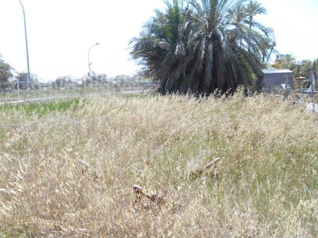 Local Comercial en venta en Oliva, València / Valencia