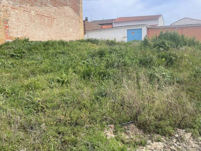 Terreno en venta en El Perdigón, Castilla y León