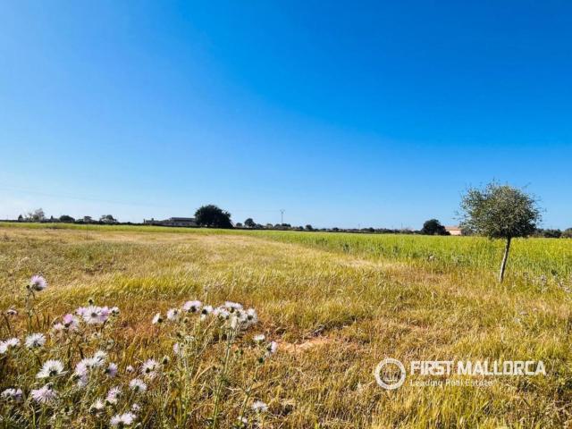 Terreno en venta en s'Horta, Migjorn