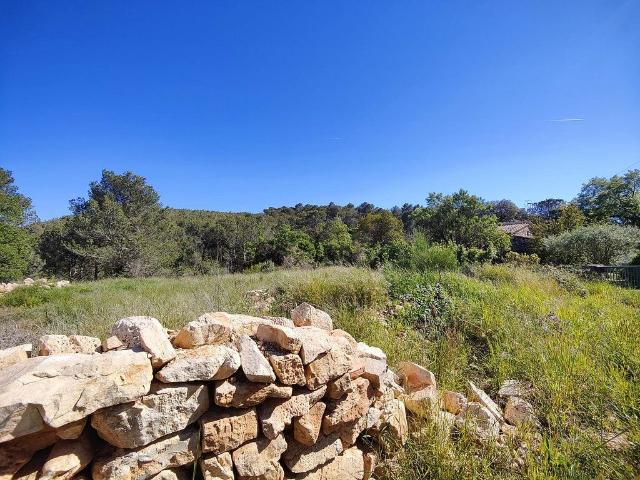 Terreno en venta en Alt Penedès, Catalunya
