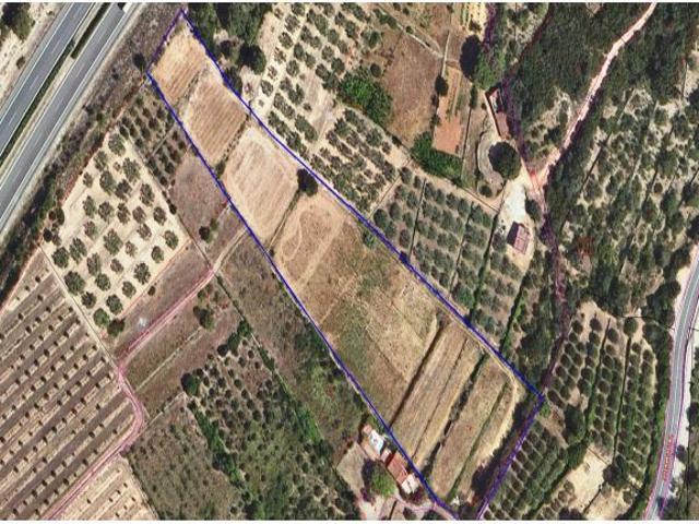 Local Comercial en venta en Freginals, Tarragona