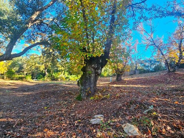 Terreno en venta en Sierra de Huelva, Andalucía
