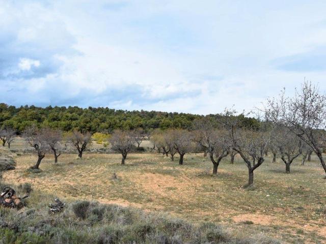 Terreno en venta en Fuentespalda