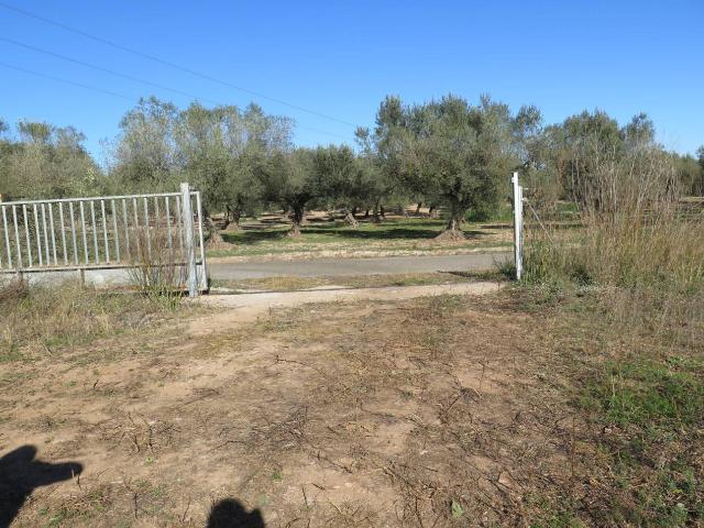 Terreno en venta en Montsià, Catalunya