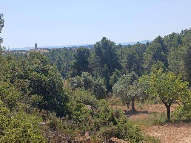 Terreno en venta en Matarraña / Matarranya, La Fresneda
