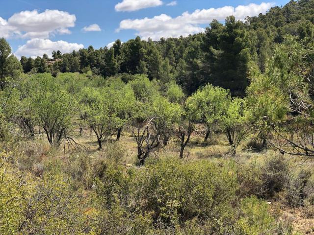 Terreno en venta en Matarraña / Matarranya, La Fresneda