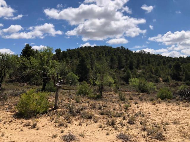 Terreno en venta en Matarraña / Matarranya, La Fresneda
