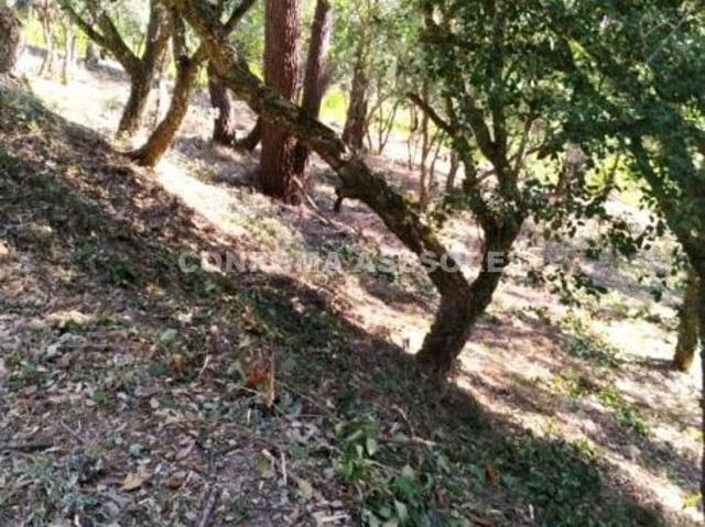 Terreno en venta en Lloret Blau, la Selva
