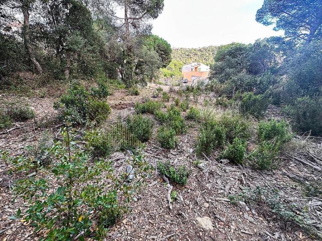 Terreno en venta en la Selva, Catalunya