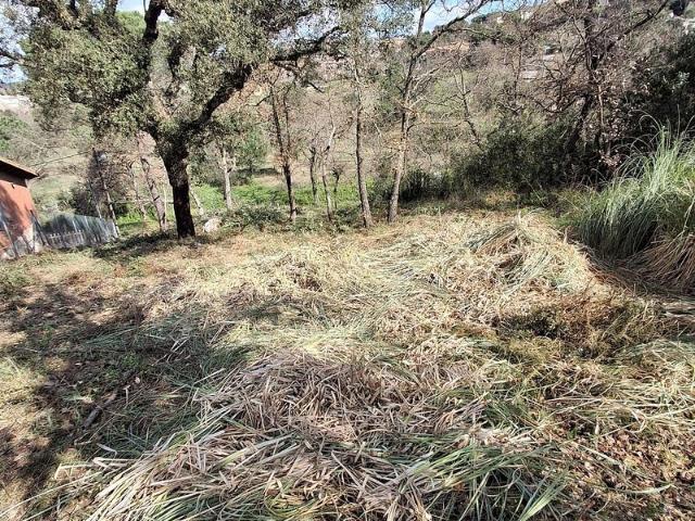 Terreno en venta en la Selva, Catalunya