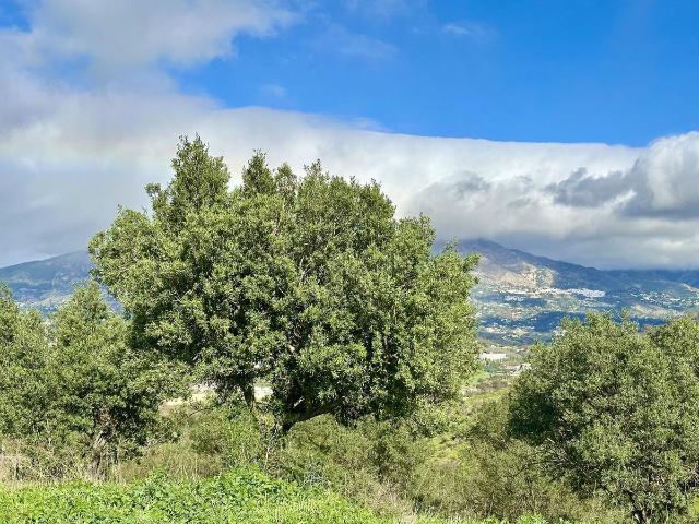 Terreno en venta en Mijas