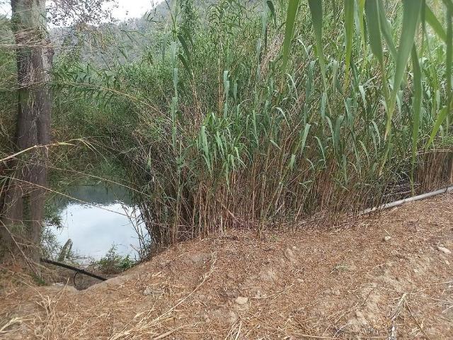 Terreno en venta en Miravet