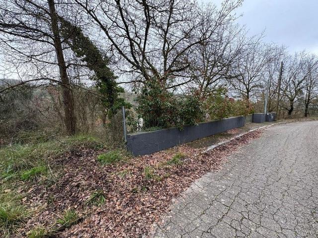 Terreno en venta en Moianès, Catalunya