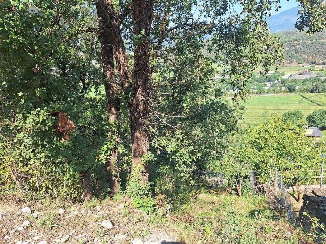 Terreno en venta en Alt Urgell, Catalunya