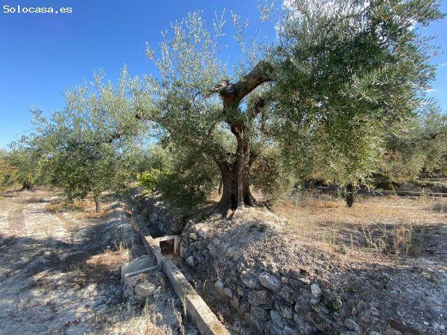 Local Comercial en venta en Moratalla, Región de Murcia