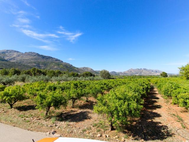 Terreno en venta en la Marina Alta, Valencia