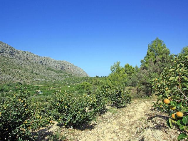 Terreno en venta en la Marina Alta, Valencia
