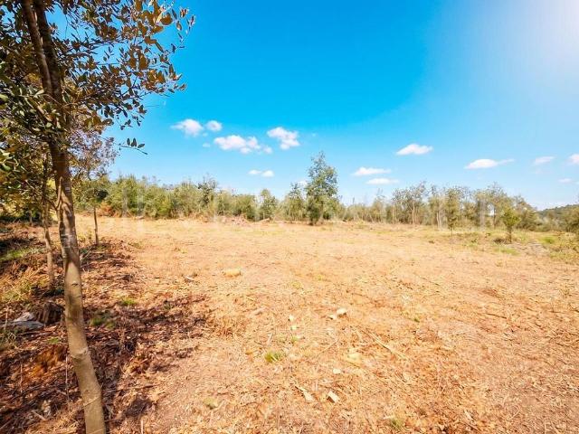Terreno en venta en Vallès Oriental, Catalunya