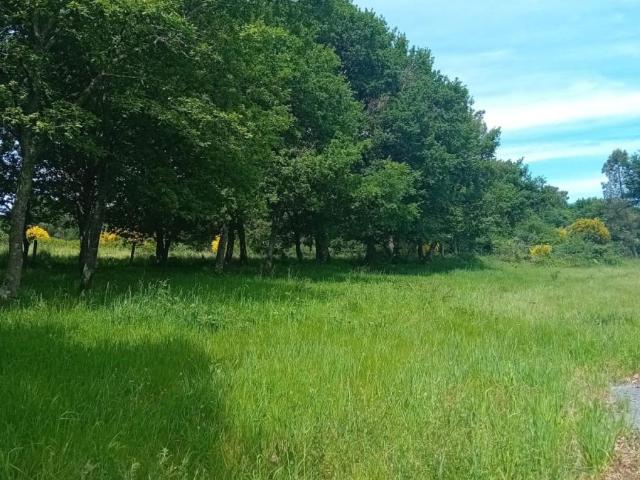 Terreno en venta en A Peroxa, Ourense