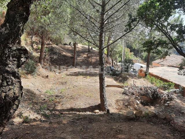 Terreno en venta en Riudarenes
