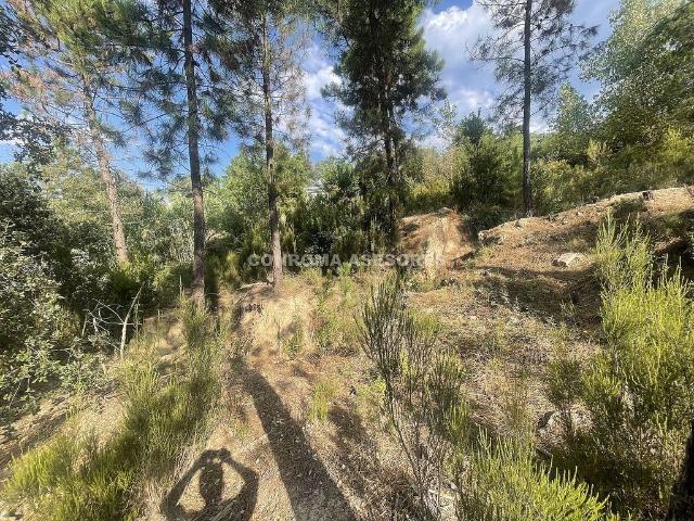 Terreno en venta en Riudarenes