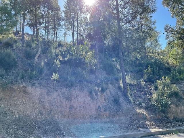 Terreno en venta en la Selva, Catalunya