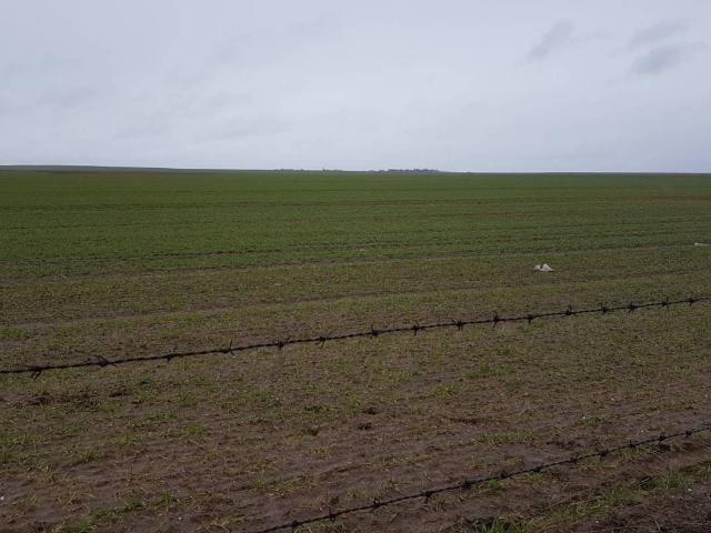 Terreno en venta en Robleda-cervantes, Castilla y León