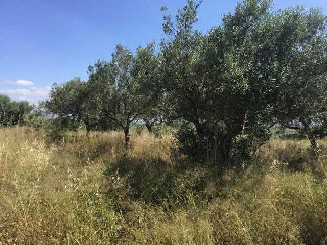 Terreno en venta en Gironès, Catalunya