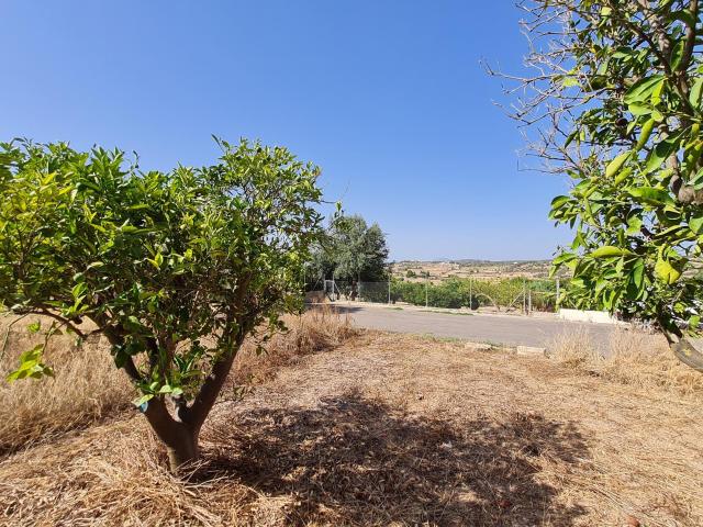 Terreno en venta en Santa Margalida