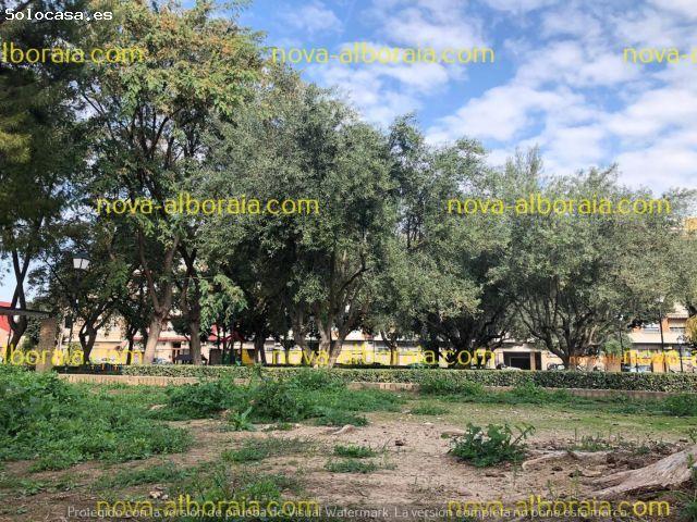 Local Comercial en venta en Tavernes Blanques