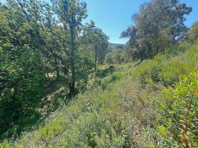 Terreno en venta en Maresme, Catalunya