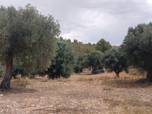 Terreno en venta en Castelserás, Teruel