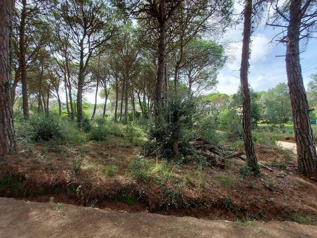 Terreno en venta en Solius, Baix Empordà
