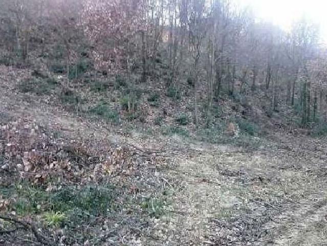 Terreno en venta en la Selva, Catalunya