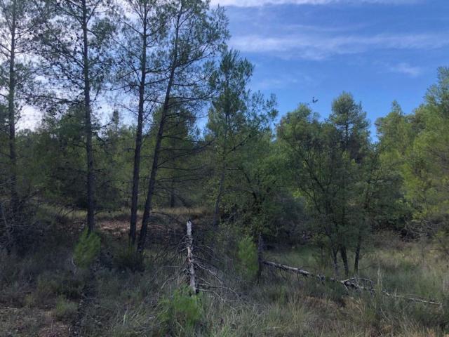 Terreno en venta en Matarraña / Matarranya, Valderrobres