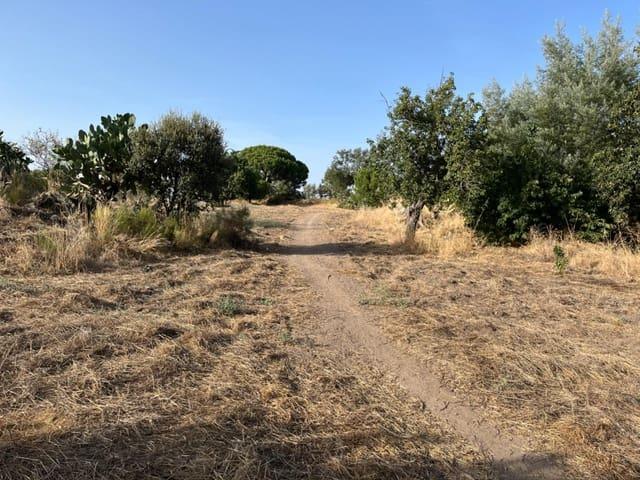 Terreno en venta en Valencia De Alcántara